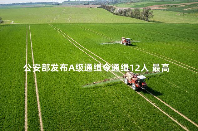 公安部发布A级通缉令通缉12人 最高应该可以处以死刑